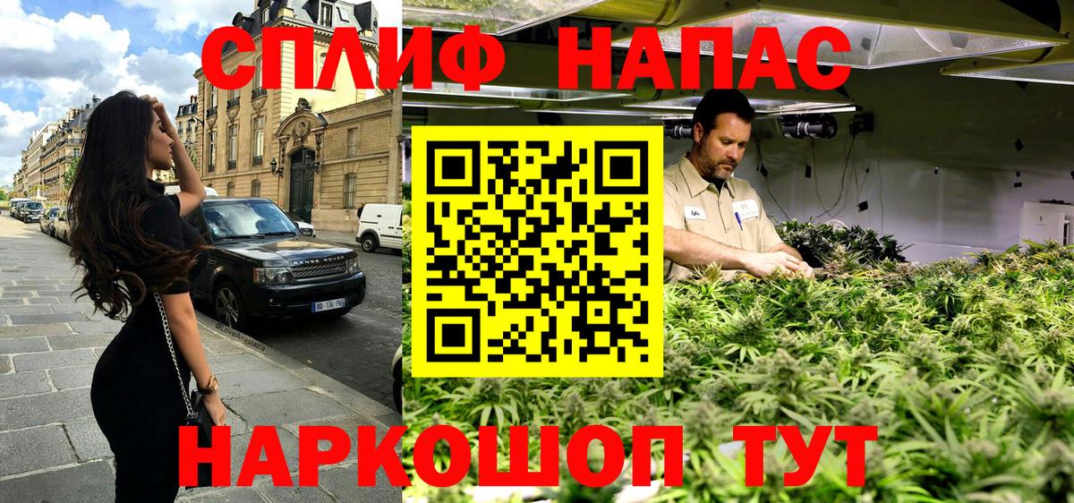 Бошки Шишки ГИДРОПОН  Вход с VPN  Шишки марихуана сатива  Куйбышев 